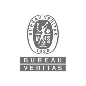 Bureau Veritas logo